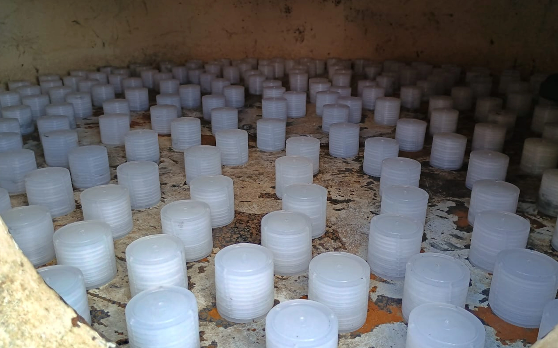 2h0161129_174352 copiar