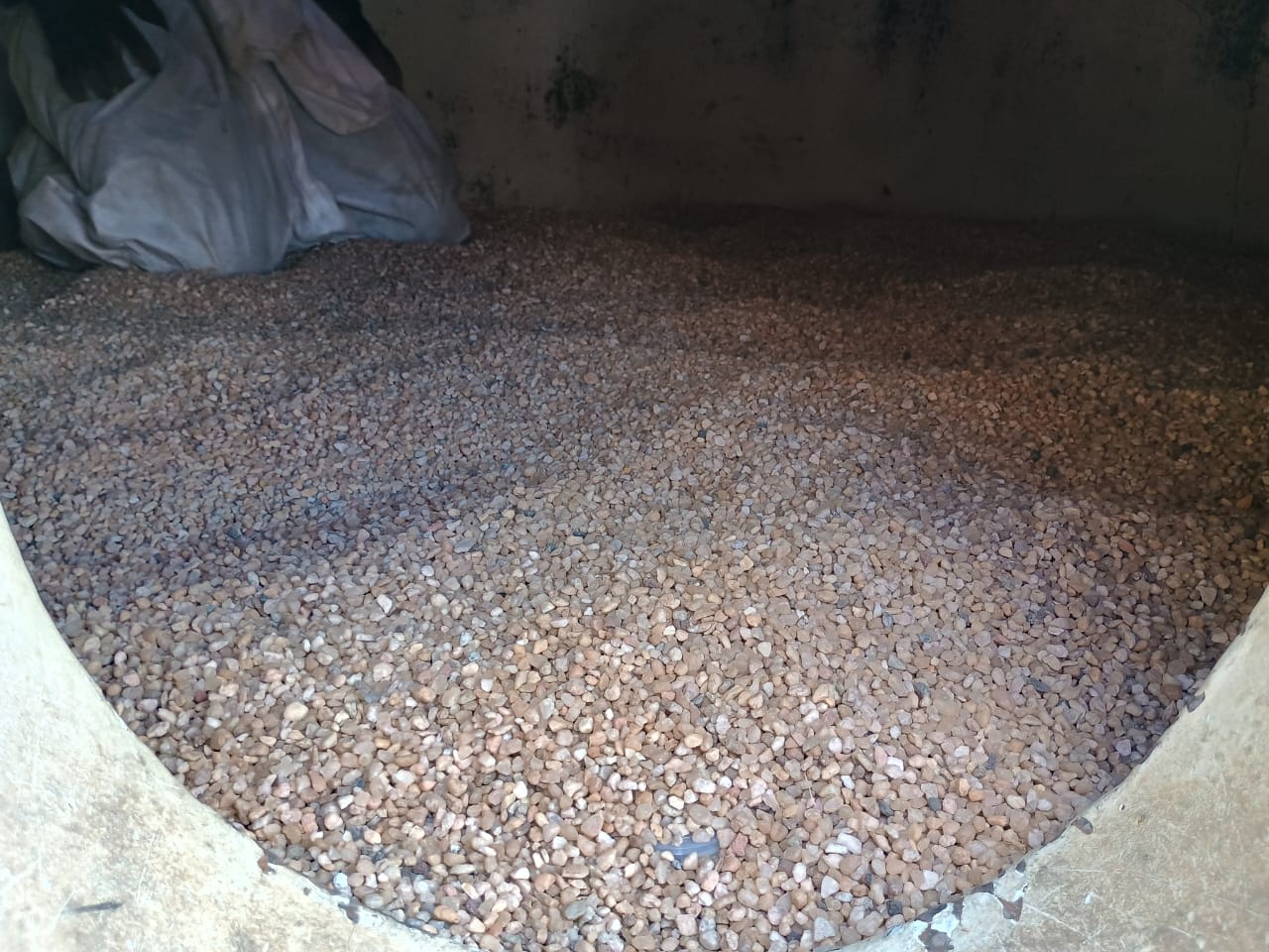 Cópia de PHOTO-2024-04-27-18-42-23(2)