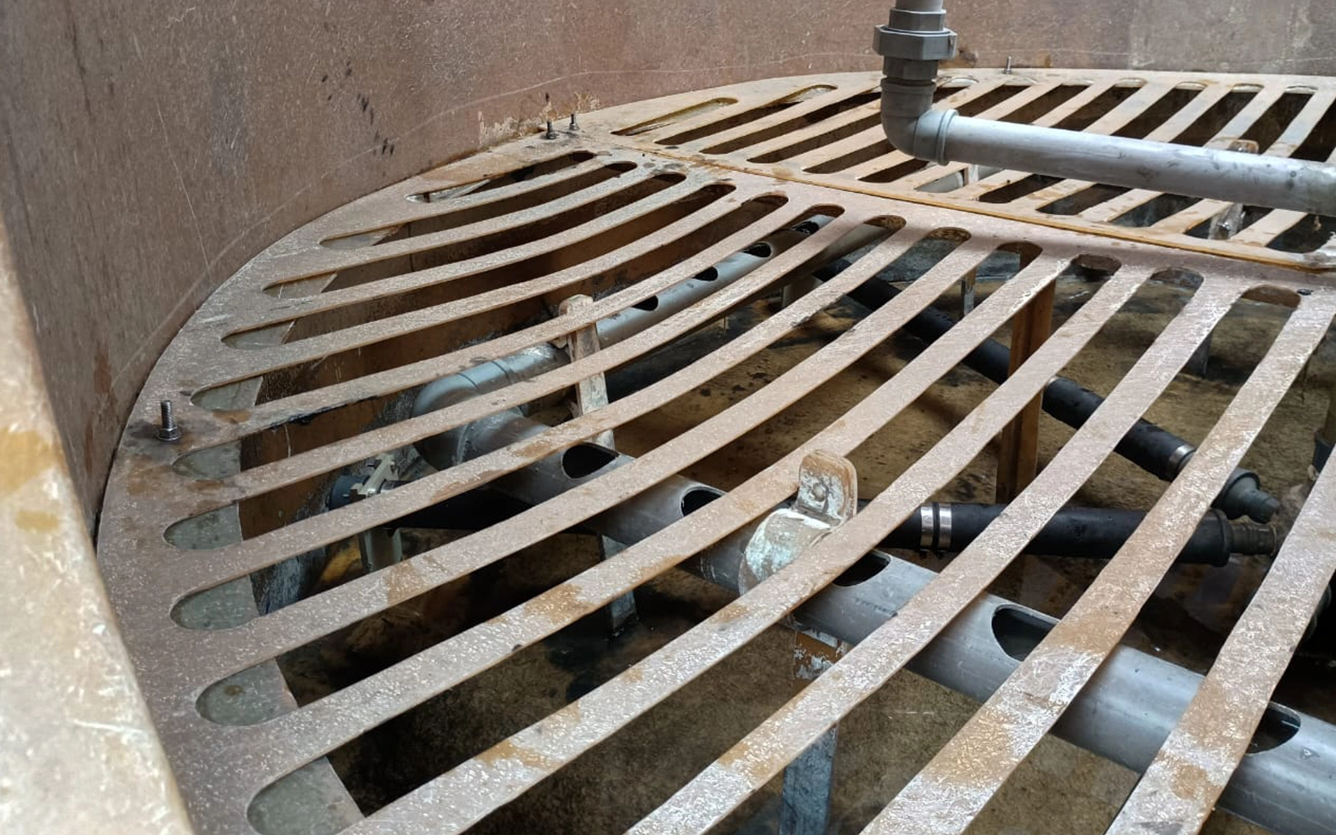 a20161129_174352 copiar