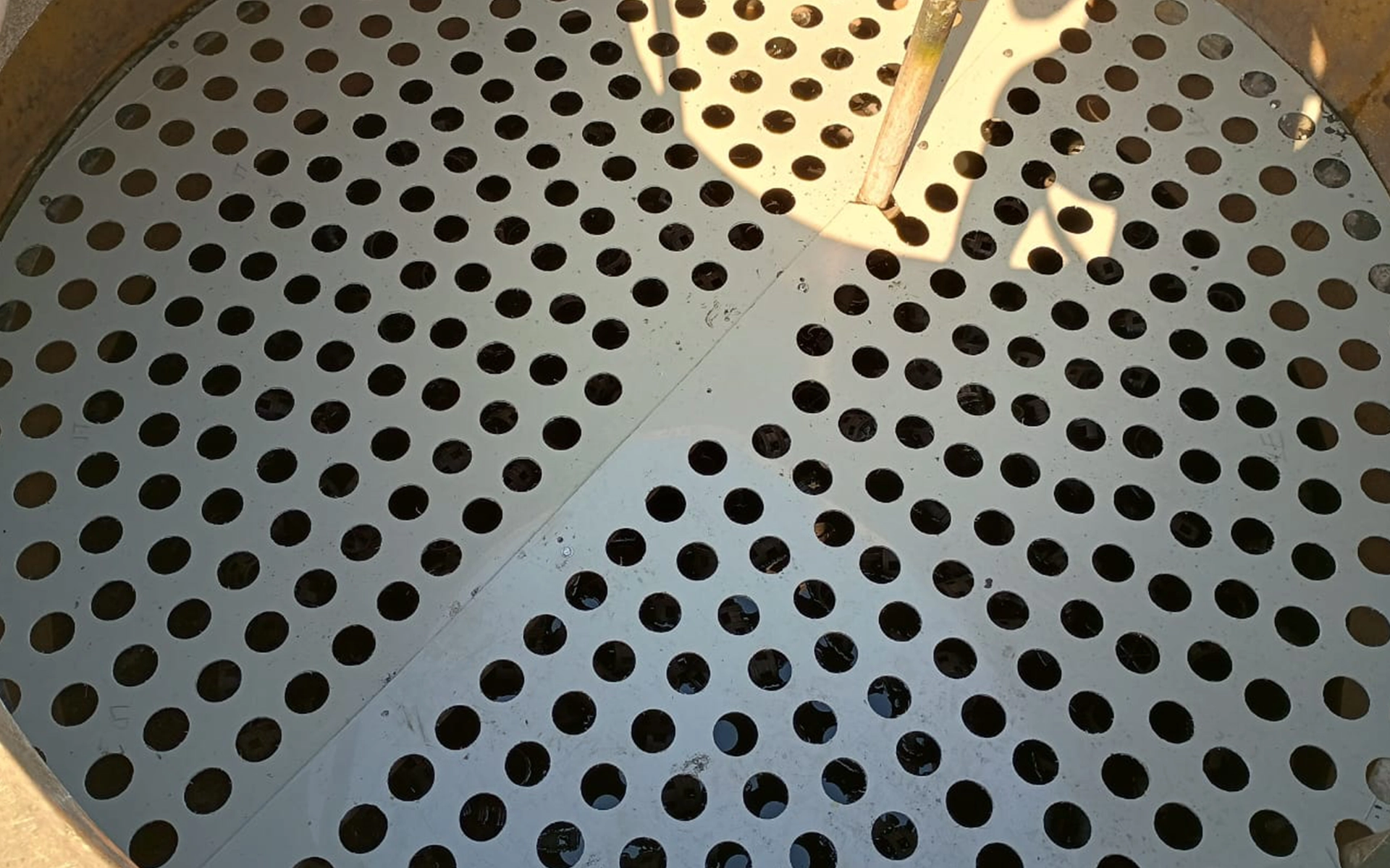 b20161129_174352 copiar