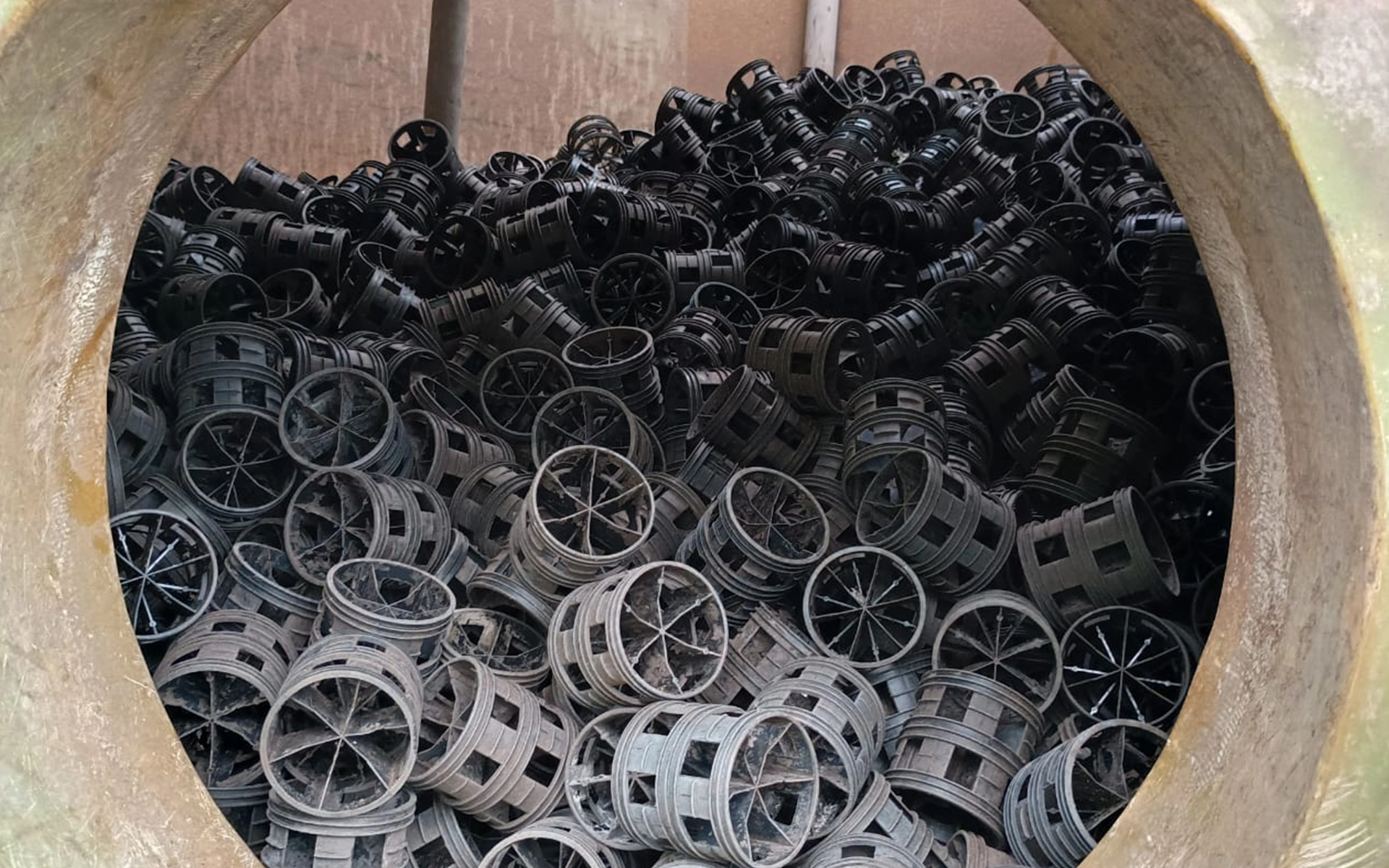 c20161129_174352 copiar