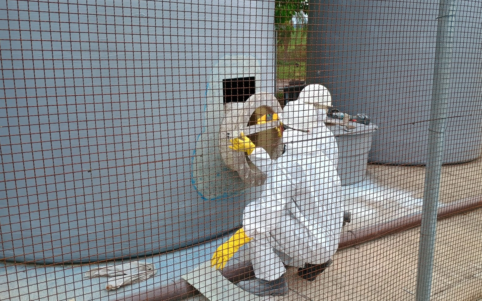 f20161129_174352 copiar